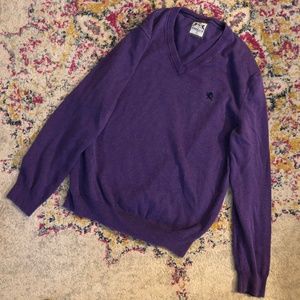 Mens Express V-Neck Sweater - Purple - L
